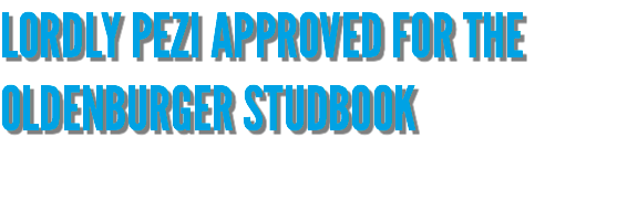 LORDLY PEZI APPROVED FOR THE OLDENBURGER STUDBOOK