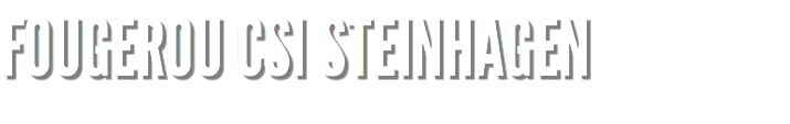FOUGEROU CSI STEINHAGEN